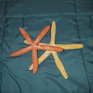 Decorative Starfish Set - Orange and Yellow